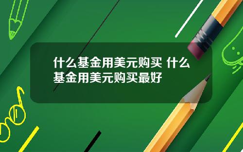 什么基金用美元购买 什么基金用美元购买最好