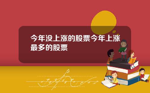 今年没上涨的股票今年上涨最多的股票