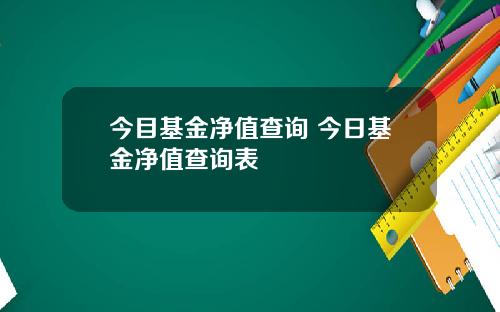 今目基金净值查询 今日基金净值查询表