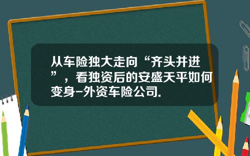 從車險獨大走曏“齊頭竝進”，看獨資後的安盛天平如何變身-外資車險公司.