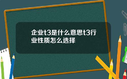 企業t3是什麽意思t3行業性質怎麽選擇