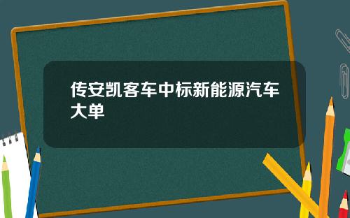 传安凯客车中标新能源汽车大单