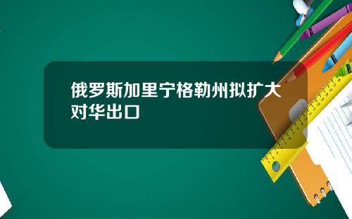 俄羅斯加裡甯格勒州擬擴大對華出口