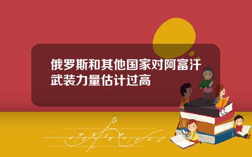 俄罗斯和其他国家对阿富汗武装力量估计过高