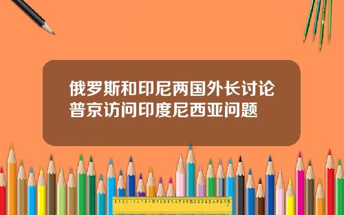 俄羅斯和印尼兩國外長討論普京訪問印度尼西亞問題