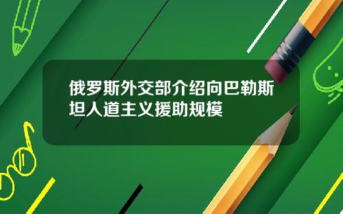 俄罗斯外交部介绍向巴勒斯坦人道主义援助规模