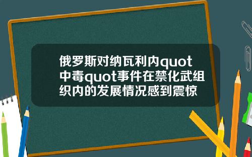 俄罗斯对纳瓦利内quot中毒quot事件在禁化武组织内的发展情况感到震惊