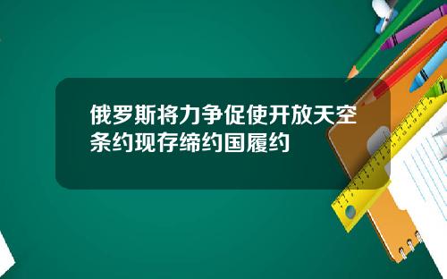 俄罗斯将力争促使开放天空条约现存缔约国履约
