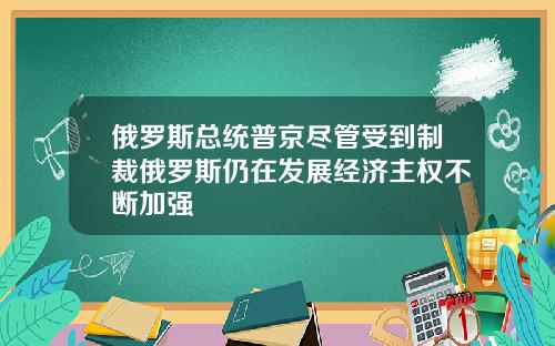 俄罗斯总统普京尽管受到制裁俄罗斯仍在发展经济主权不断加强