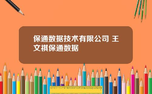 保通数据技术有限公司 王文祺保通数据