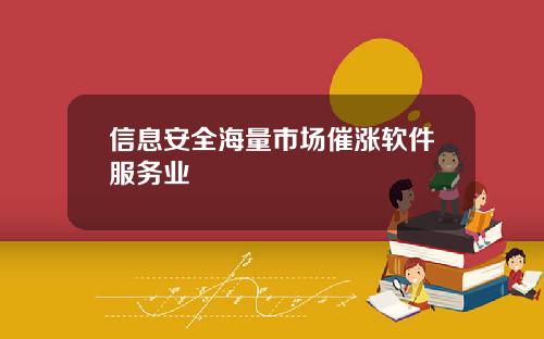 信息安全海量市场催涨软件服务业