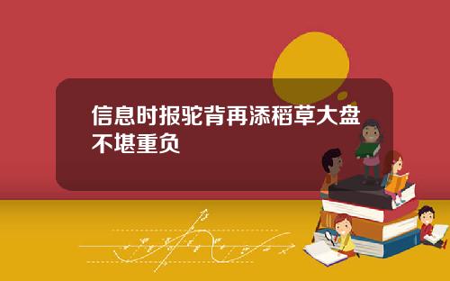 信息時報駝背再添稻草大磐不堪重負
