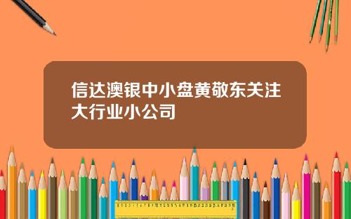 信达澳银中小盘黄敬东关注大行业小公司