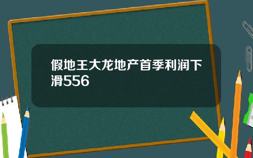 假地王大龍地産首季利潤下滑556