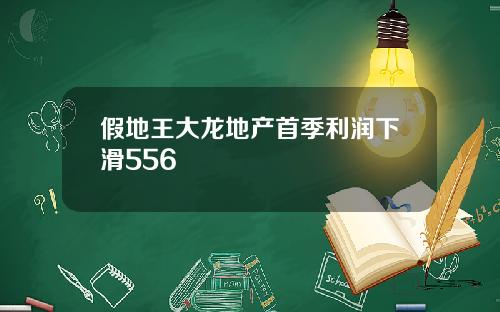 假地王大龍地産首季利潤下滑556