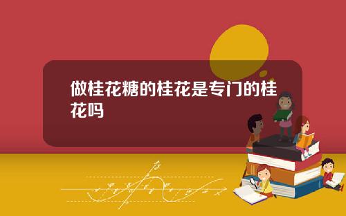 做桂花糖的桂花是專門的桂花嗎