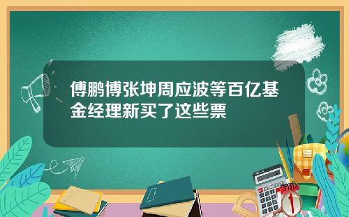 傅鹏博张坤周应波等百亿基金经理新买了这些票