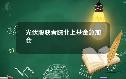 光伏股獲青睞北上基金急加倉