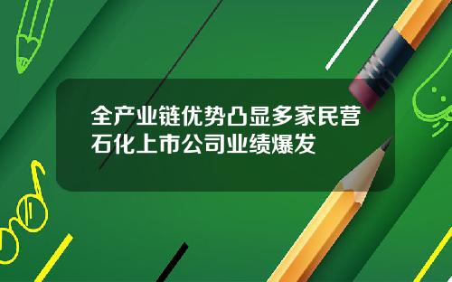 全产业链优势凸显多家民营石化上市公司业绩爆发