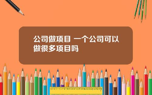 公司做項目 一個公司可以做很多項目嗎