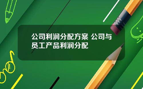 公司利润分配方案 公司与员工产品利润分配