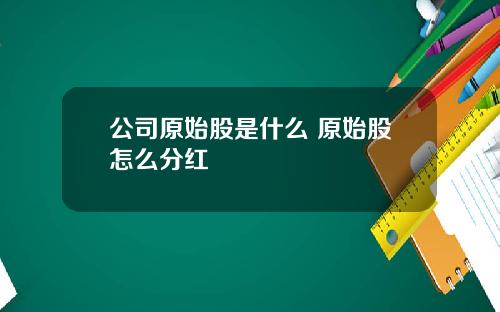 公司原始股是什麽 原始股怎麽分紅