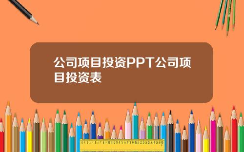 公司項目投資PPT公司項目投資表