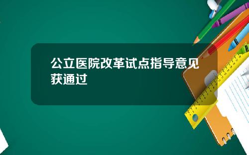 公立医院改革试点指导意见获通过