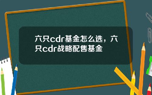 六只cdr基金怎么选，六只cdr战略配售基金