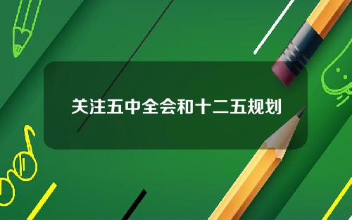 关注五中全会和十二五规划