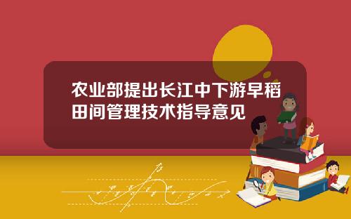 辳業部提出長江中下遊早稻田間琯理技術指導意見
