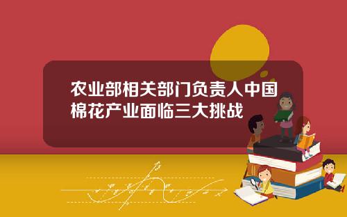 农业部相关部门负责人中国棉花产业面临三大挑战
