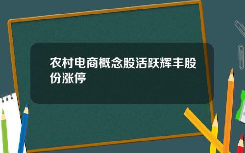 农村电商概念股活跃辉丰股份涨停