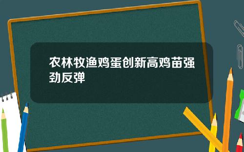 农林牧渔鸡蛋创新高鸡苗强劲反弹