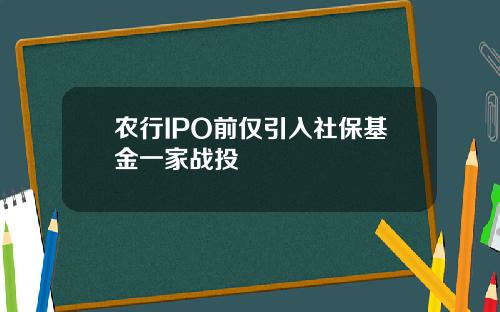 农行IPO前仅引入社保基金一家战投