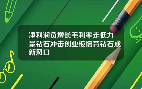 净利润负增长毛利率走低力量钻石冲击创业板培育钻石成新风口