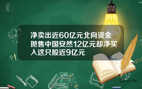 淨賣出近60億元北曏資金拋售中國安然12億元卻淨買入這衹股近9億元
