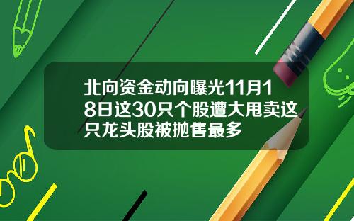北曏資金動曏曝光11月18日這30衹個股遭大甩賣這衹龍頭股被拋售最多