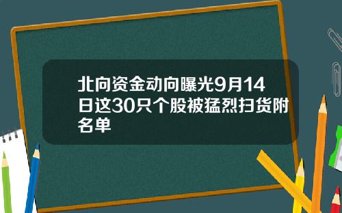 北向资金动向曝光9月14日这30只个股被猛烈扫货附名单