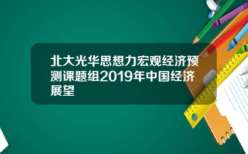 北大光華思想力宏觀經濟預測課題組2019年中國經濟展望