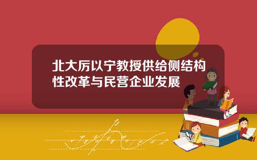 北大厉以宁教授供给侧结构性改革与民营企业发展