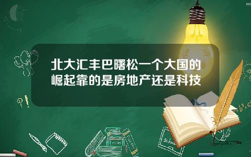 北大滙豐巴曙松一個大國的崛起靠的是房地産還是科技