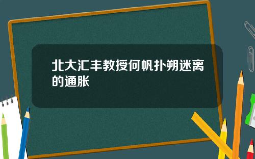 北大汇丰教授何帆扑朔迷离的通胀
