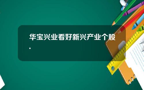華寶興業看好新興産業個股.