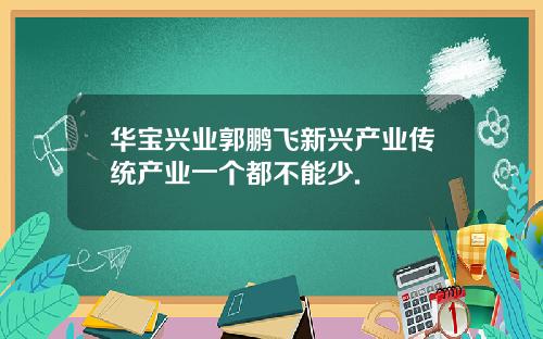 華寶興業郭鵬飛新興産業傳統産業一個都不能少.
