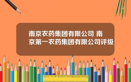 南京辳葯集團有限公司 南京第一辳葯集團有限公司評級