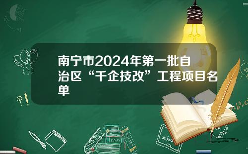 南宁市2024年第一批自治区“千企技改”工程项目名单