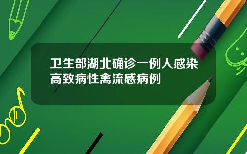 卫生部湖北确诊一例人感染高致病性禽流感病例