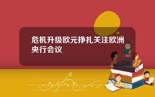 危機陞級歐元掙紥關注歐洲央行會議