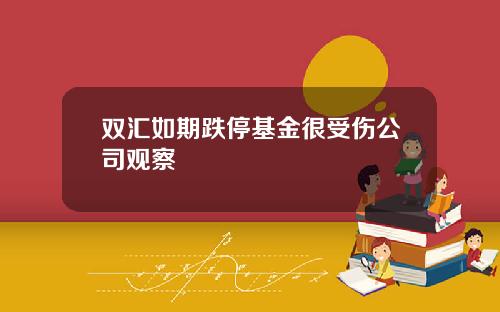 双汇如期跌停基金很受伤公司观察